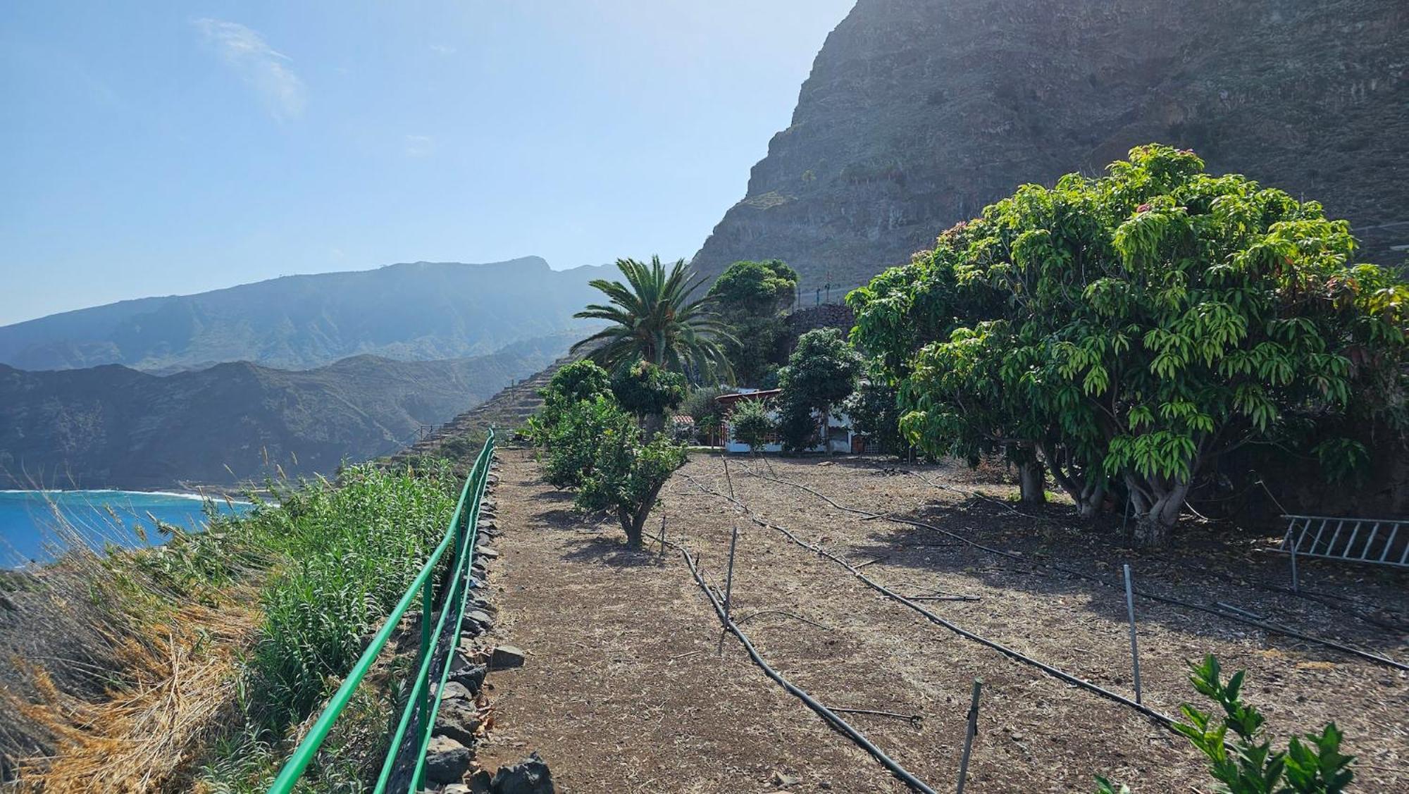 Agulo Los Cerrajones: Spectacular Views From The Cliff מראה חיצוני תמונה